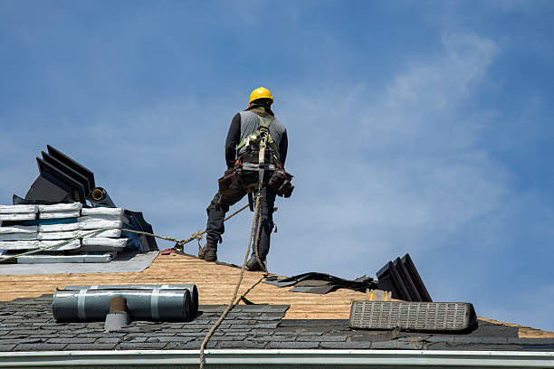 Professional Roof Replacement technician working in Genoa, AR